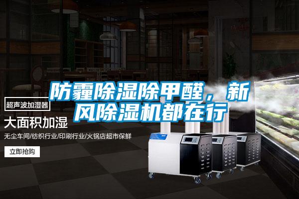 防霾除濕除甲醛，新風麻豆视频免费看都在行