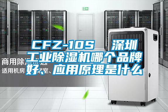 CFZ-10S  深圳工業麻豆视频免费看哪個品牌好、應用原理是什麽