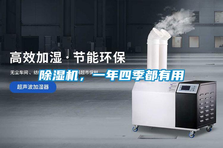 麻豆视频免费看，一年四季都有用