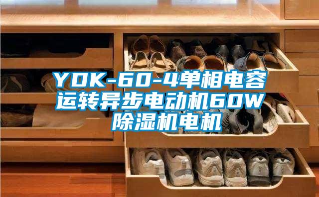 YDK-60-4單相電容運轉異步電動機60W 麻豆视频免费看電機