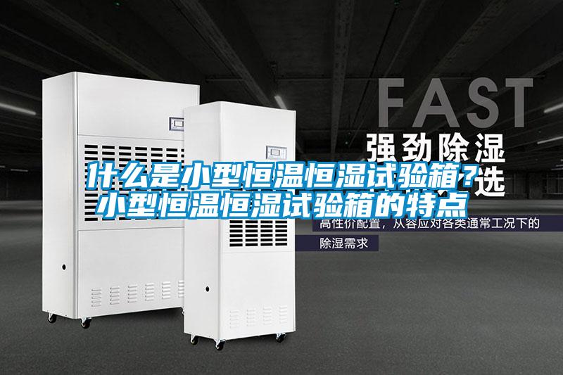 什麽是小型恒溫恒濕試驗箱？小型恒溫恒濕試驗箱的特點