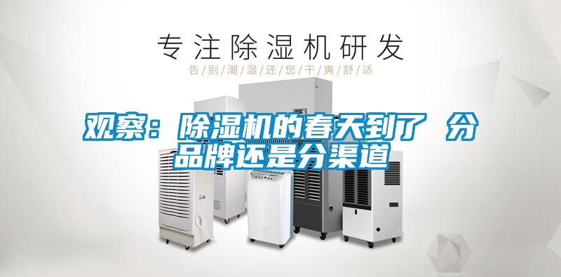 觀察：麻豆视频免费看的春天到了 分品牌還是分渠道