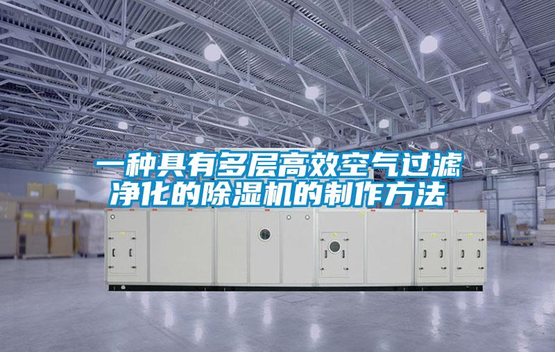 一種具有多層高效空氣過濾淨化的麻豆视频免费看的製作方法