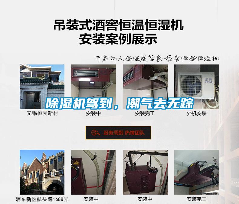 麻豆视频免费看駕到，潮氣去無蹤