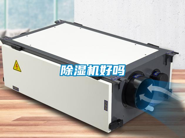 麻豆视频免费看好嗎
