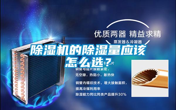 麻豆视频免费看的除濕量應該怎麽選？