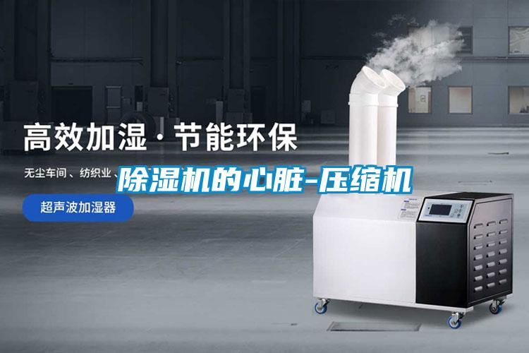 麻豆视频免费看的心髒-壓縮機