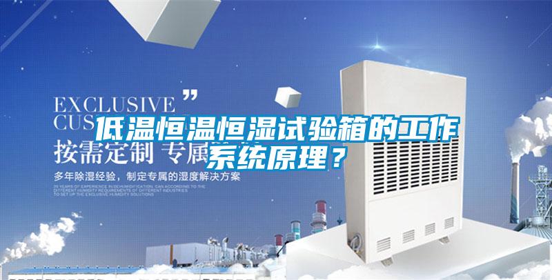 低溫恒溫恒濕試驗箱的工作係統原理？