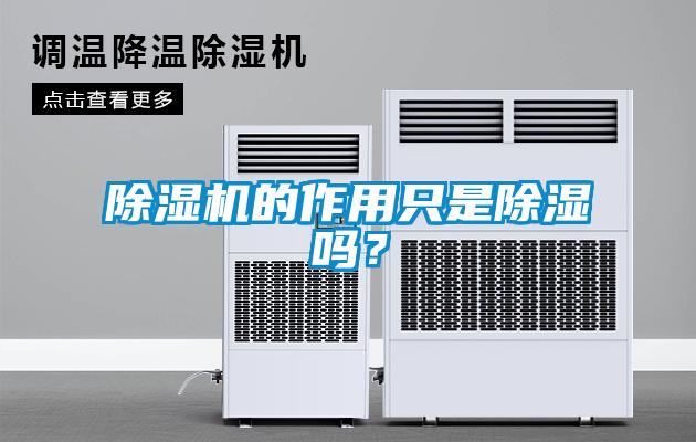 麻豆视频免费看的作用隻是除濕嗎？