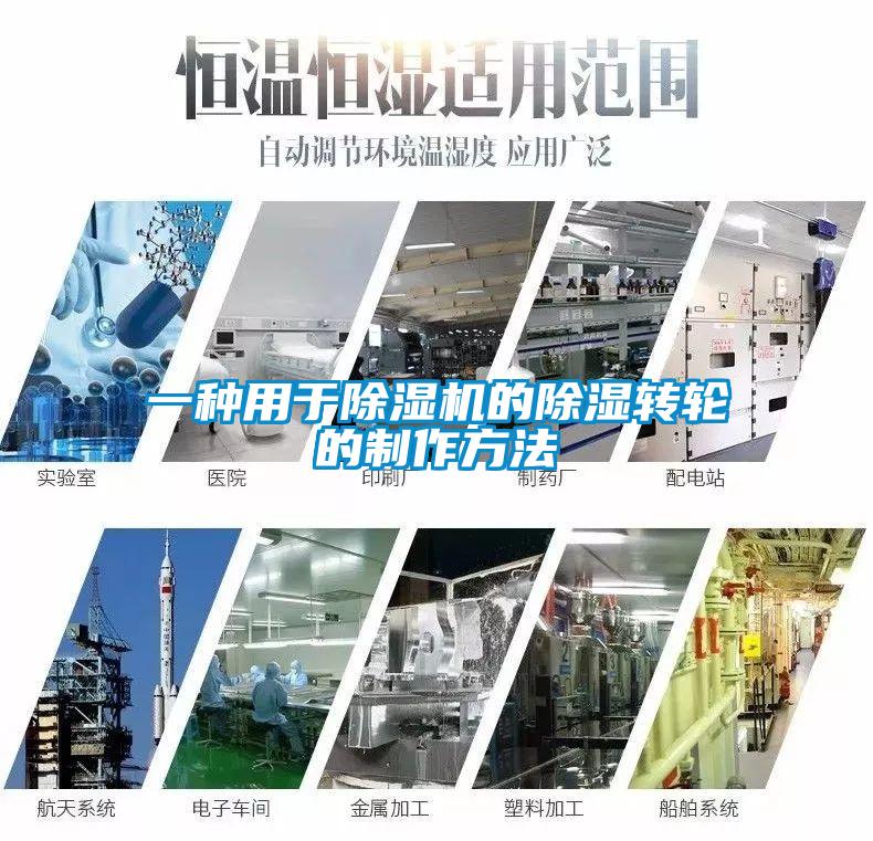 一種用於麻豆视频免费看的除濕轉輪的製作方法