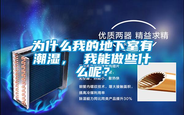 為什麽我的地下室有潮濕， 我能做些什麽呢？
