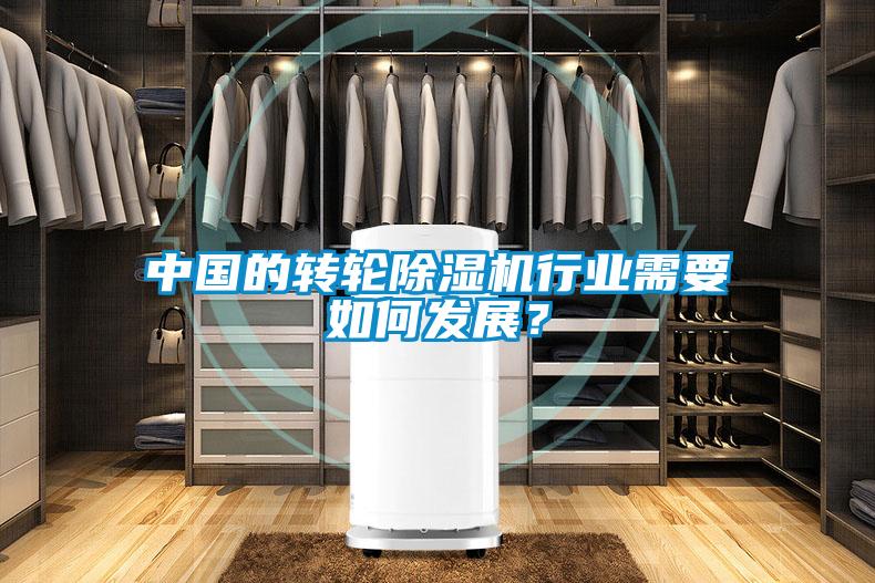 中國的轉輪麻豆视频免费看行業需要如何發展？