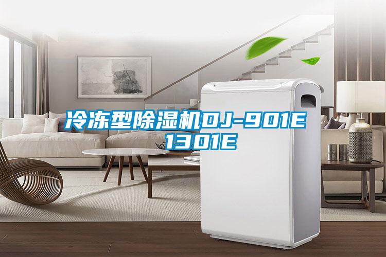 冷凍型麻豆视频免费看DJ-901E  1301E