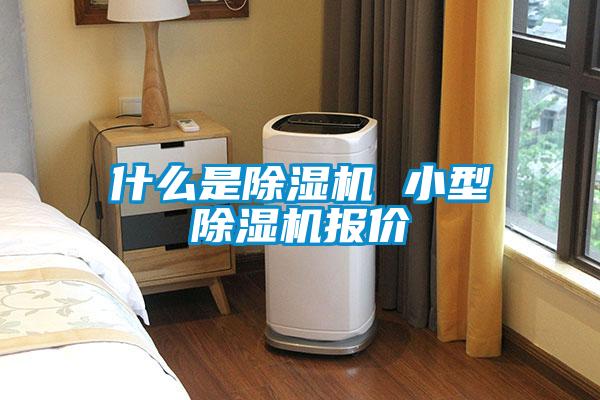 什麽是麻豆视频免费看 小型麻豆视频免费看報價
