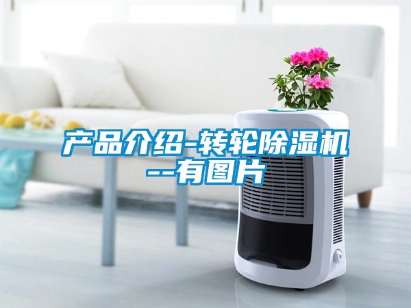 產品介紹-轉輪麻豆视频免费看--有圖片