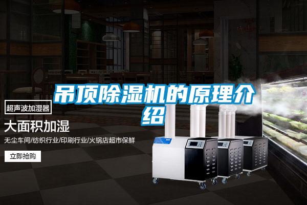 吊頂麻豆视频免费看的原理介紹