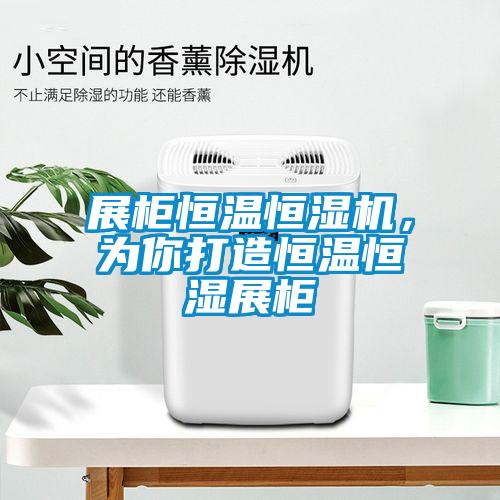 展櫃恒溫恒濕機，為你打造恒溫恒濕展櫃