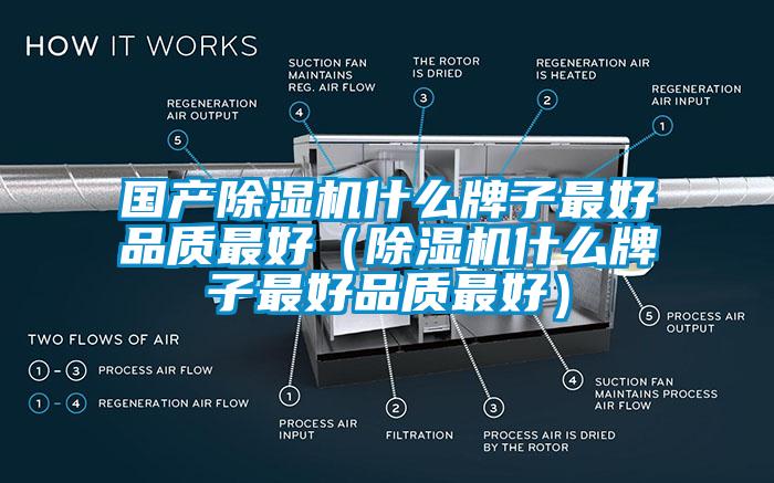 國產麻豆视频免费看什麽牌子最好品質最好（麻豆视频免费看什麽牌子最好品質最好）