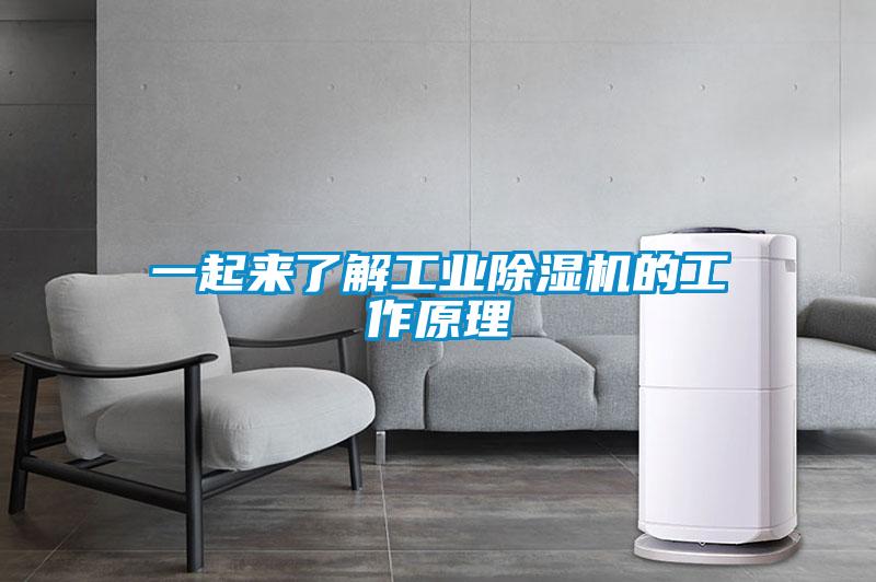 一起來了解工業麻豆视频免费看的工作原理