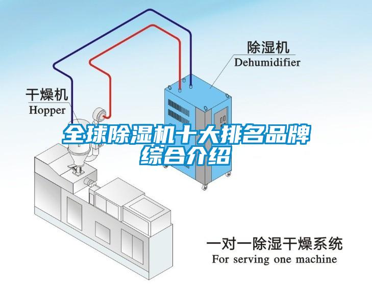 全球麻豆视频免费看十大排名品牌綜合介紹