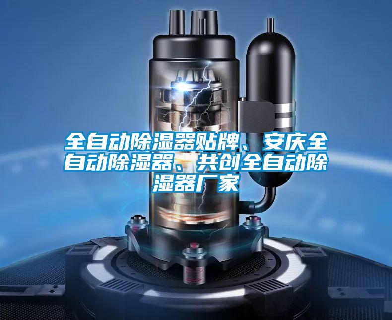 全自動除濕器貼牌、安慶全自動除濕器、共創全自動除濕器廠家