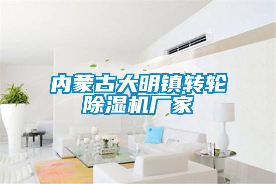 內蒙古大明鎮轉輪麻豆视频免费看廠家