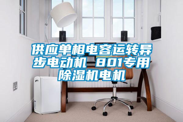 供應單相電容運轉異步電動機 801專用麻豆视频免费看電機