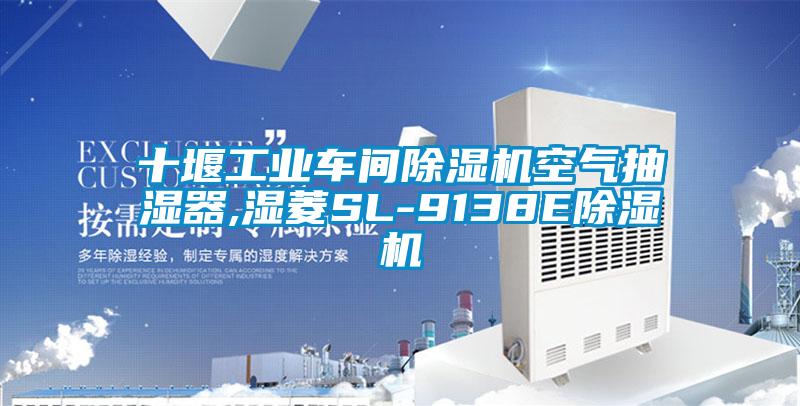 十堰工業車間麻豆视频免费看空氣抽濕器,濕菱SL-9138E麻豆视频免费看