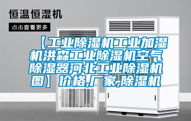 【工業麻豆视频免费看工業加濕機洪森工業麻豆视频免费看空氣除濕器河北工業麻豆视频免费看圖】價格,廠家,麻豆视频免费看