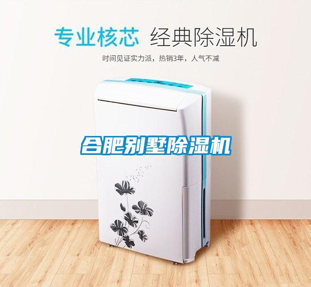 合肥別墅麻豆视频免费看