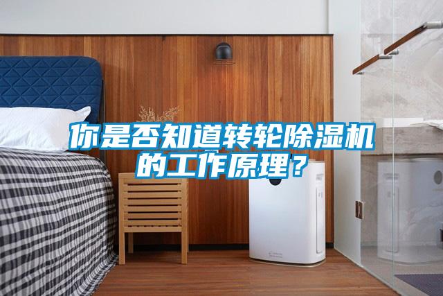 你是否知道轉輪麻豆视频免费看的工作原理？