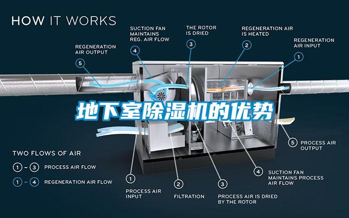 地下室麻豆视频免费看的優勢