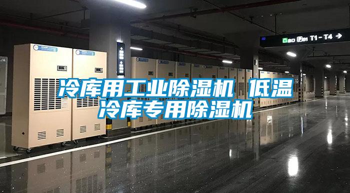 冷庫用工業麻豆视频免费看 低溫冷庫專用麻豆视频免费看