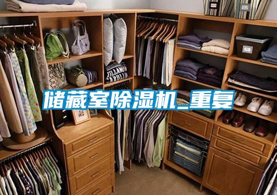 儲藏室麻豆视频免费看_重複