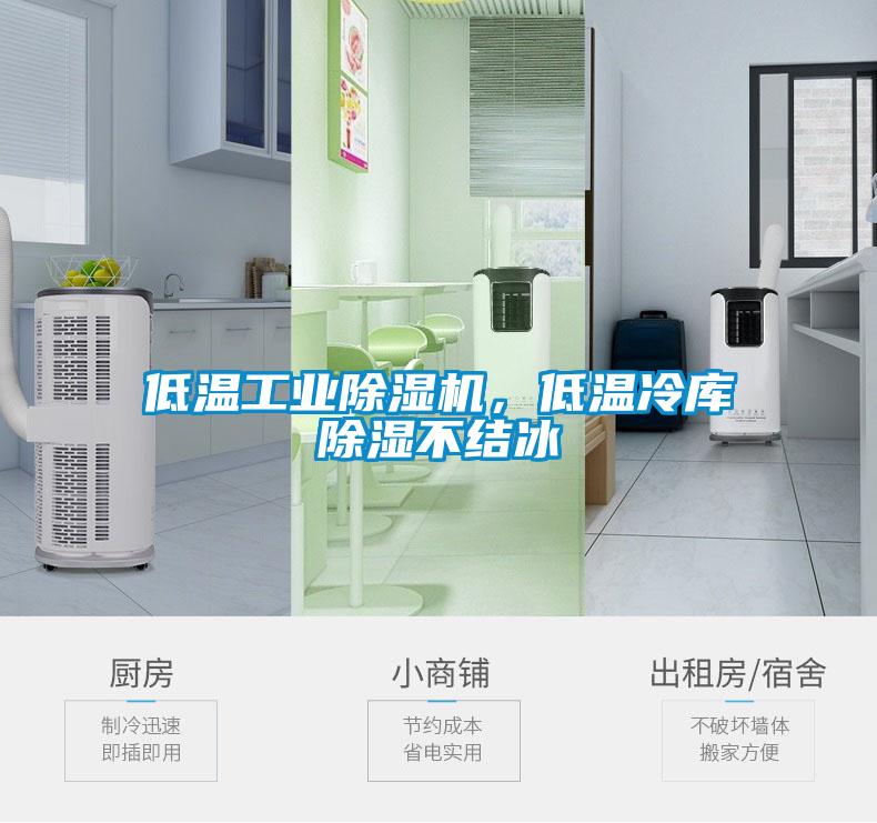 低溫工業麻豆视频免费看，低溫冷庫除濕不結冰