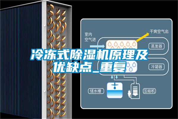 冷凍式麻豆视频免费看原理及優缺點_重複