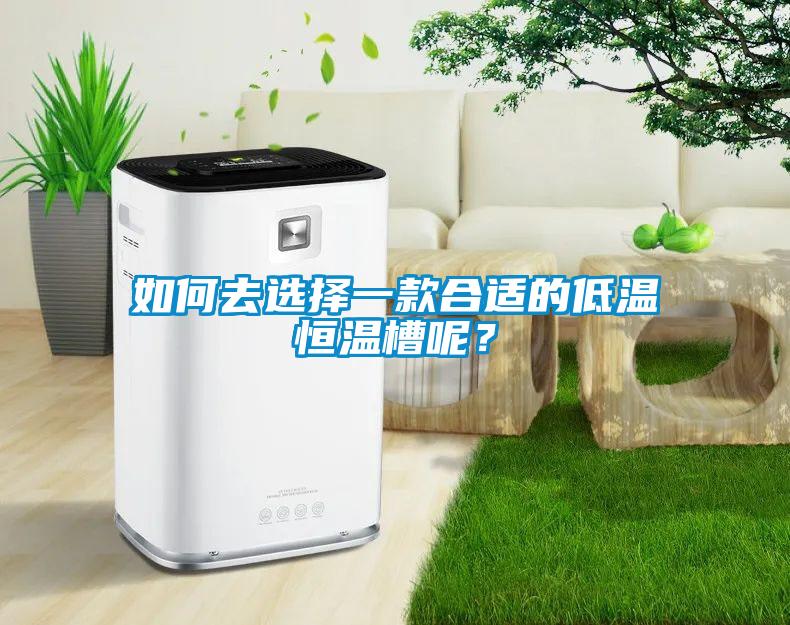 如何去選擇一款合適的低溫恒溫槽呢？