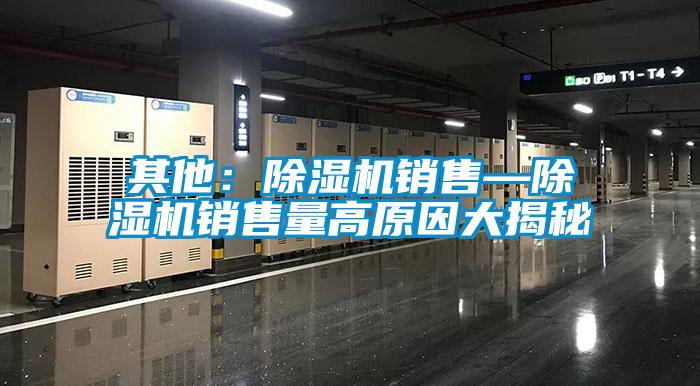 其他：麻豆视频免费看銷售—麻豆视频免费看銷售量高原因大揭秘