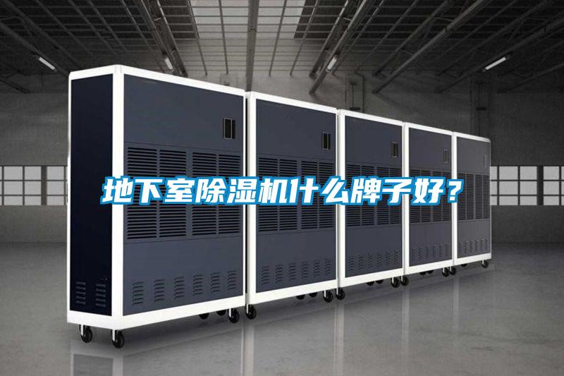 地下室麻豆视频免费看什麽牌子好？