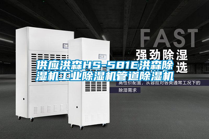 供應洪森HS-581E洪森麻豆视频免费看工業麻豆视频免费看管道麻豆视频免费看