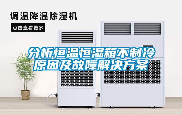 分析恒溫恒濕箱不製冷原因及故障激情麻豆视频