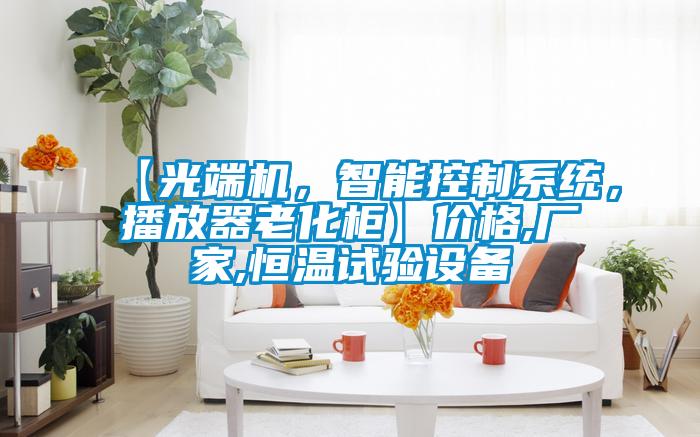 【光端機，智能控製係統，播放器老化櫃】價格,廠家,恒溫試驗設備