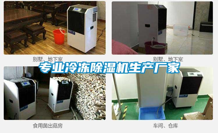 專業冷凍麻豆视频免费看生產廠家