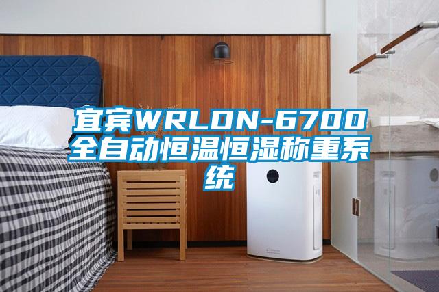 宜賓WRLDN-6700全自動恒溫恒濕稱重係統