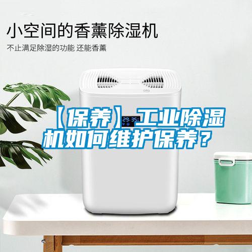 【保養】工業麻豆视频免费看如何維護保養？
