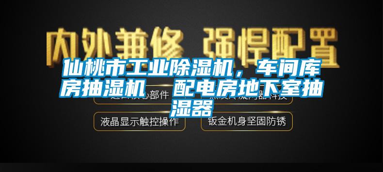 仙桃市工業麻豆视频免费看，車間庫房抽濕機  配電房地下室抽濕器