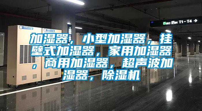 加濕器，小型加濕器，掛壁式加濕器，家用加濕器，商用加濕器，超聲波加濕器，麻豆视频免费看