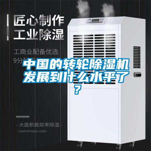 中國的轉輪麻豆视频免费看發展到什麽水平了？