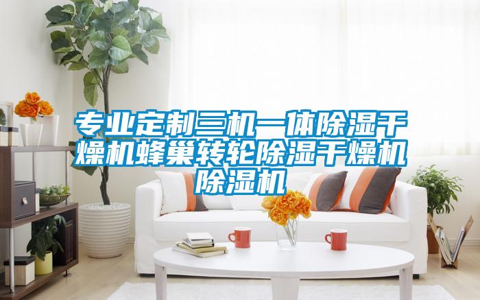 專業定製三機一體除濕幹燥機蜂巢轉輪除濕幹燥機麻豆视频免费看