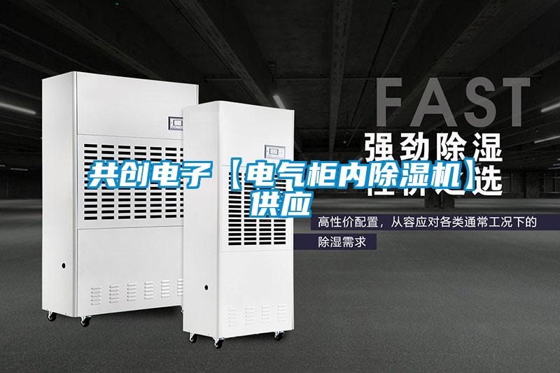 共創電子【電氣櫃內麻豆视频免费看】供應